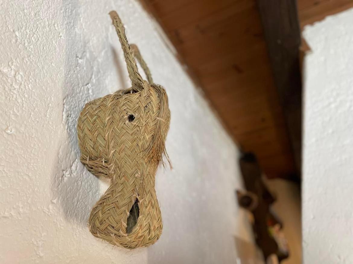 Marko'S Eco Cabin Μπλεντ Εξωτερικό φωτογραφία